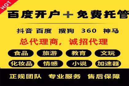 SEM代运营服务公司案例分析：数据驱动营销策略